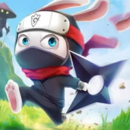 Ninja Tavşan