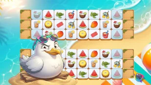 Summer Onet Connect